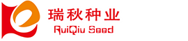 美縫劑_美縫劑廠家_美縫劑十大品牌_凡東尼瓷磚美縫劑